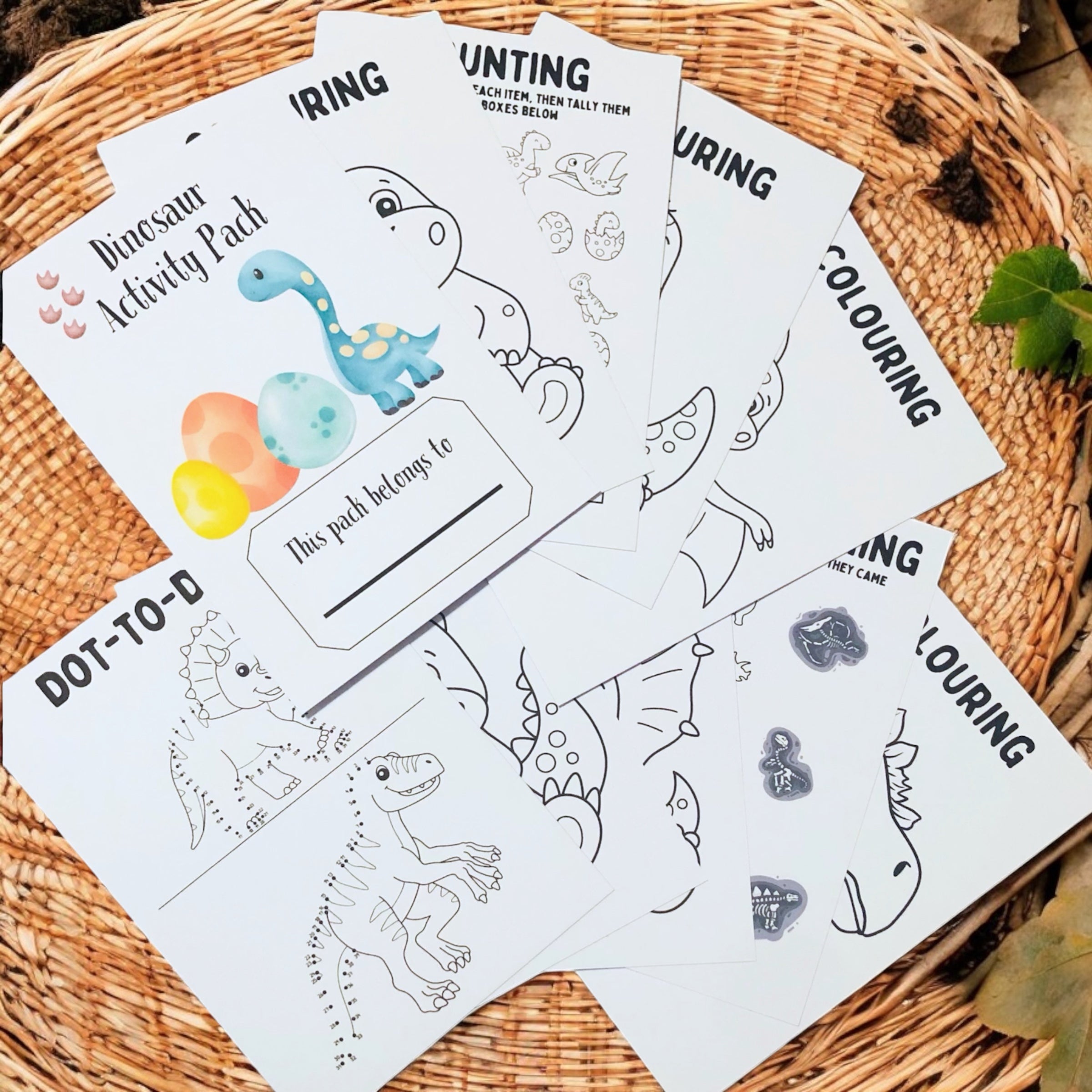 10 x A6 Dinosaur Activity Pack (Binded)