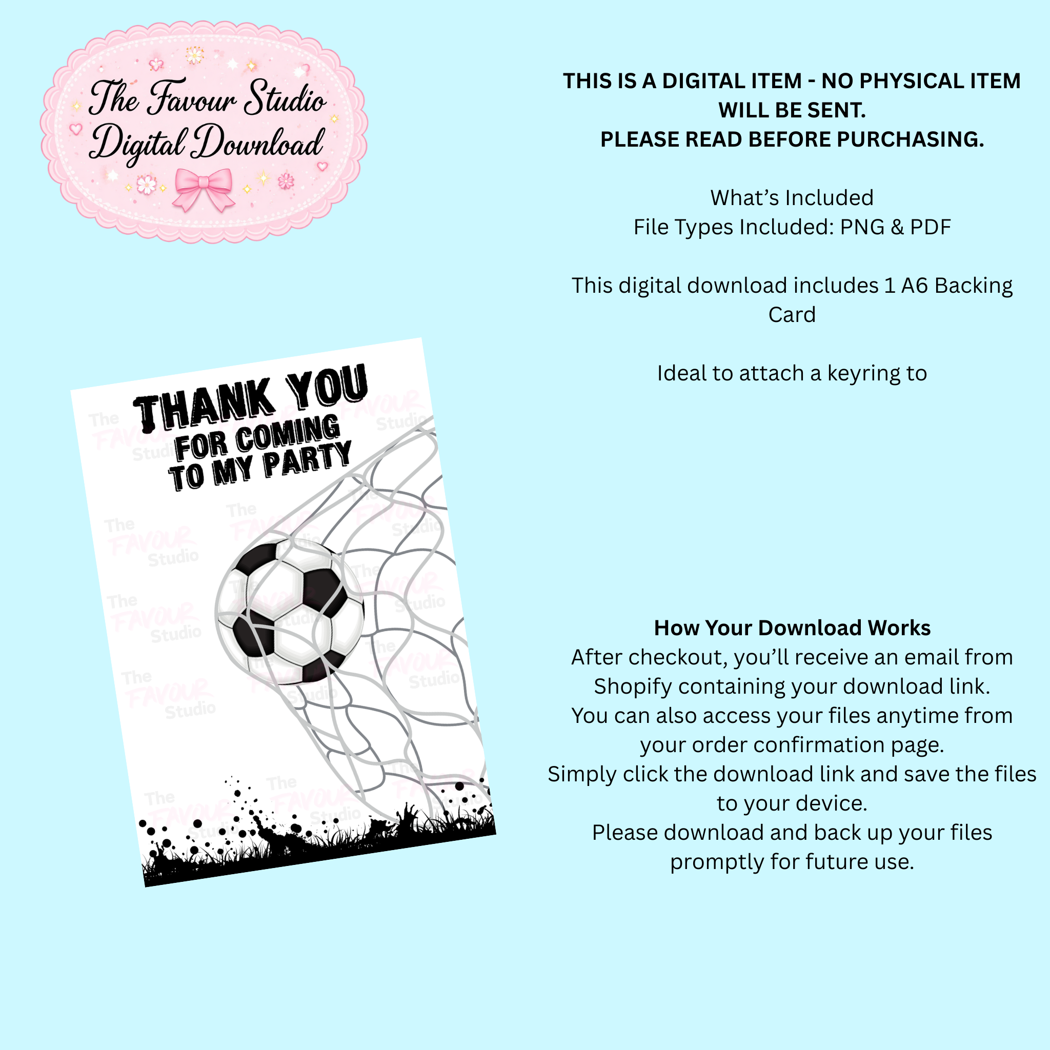 DIGITAL TFS - Football Keyring