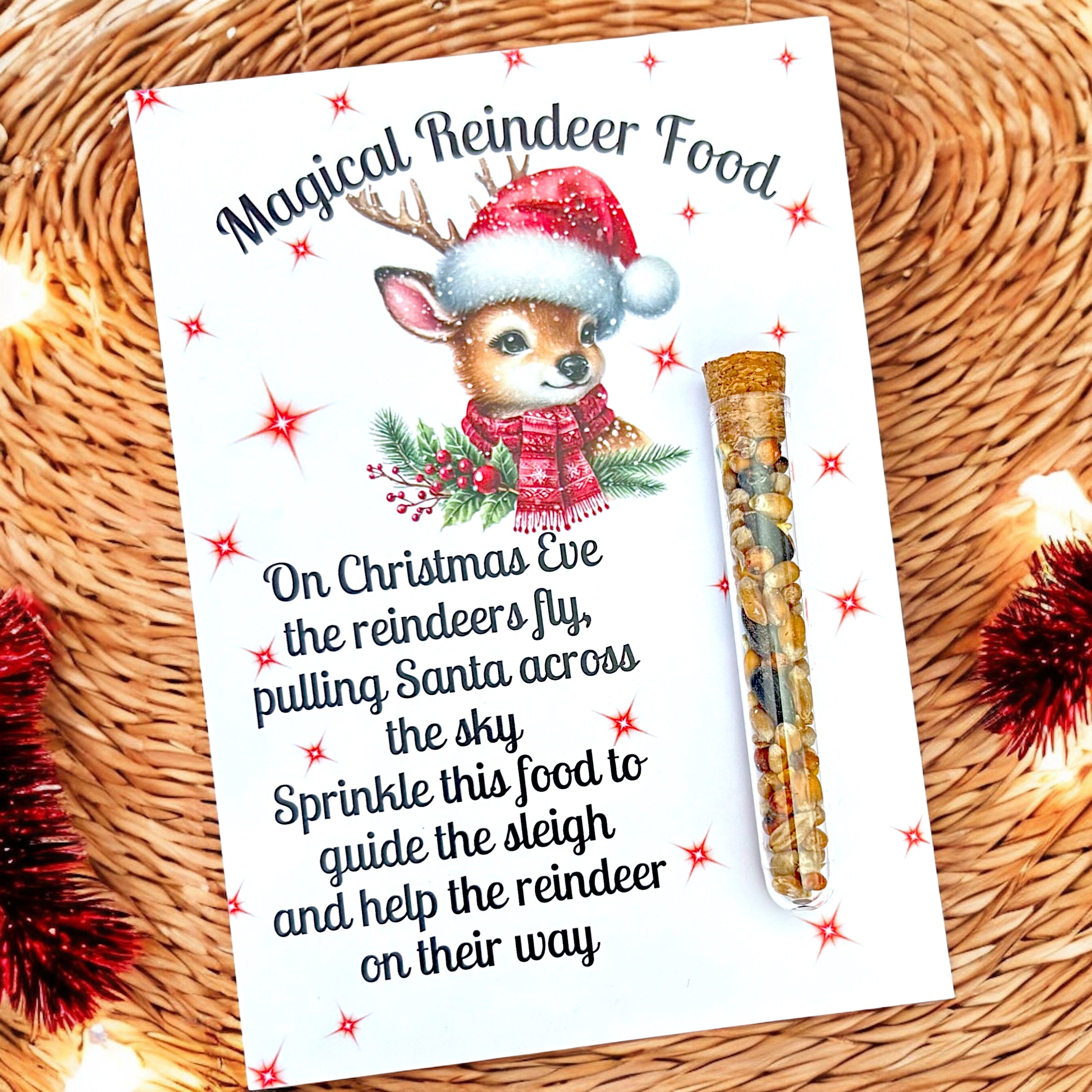 10 x Magical Reindeer Food Tubes (Choose from Oats or Seeds)