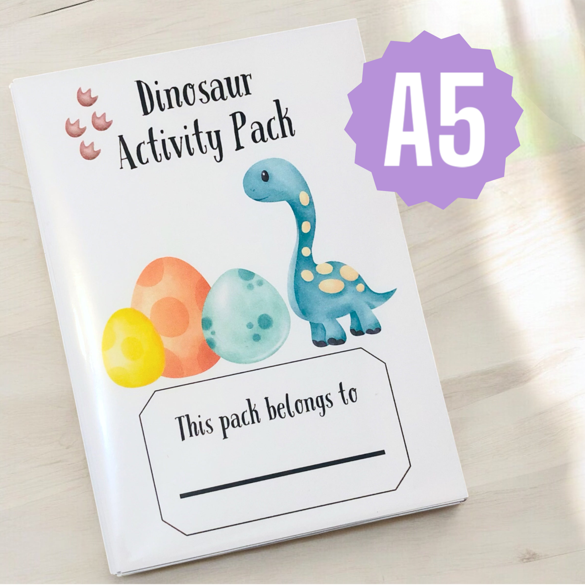 10 x A5 Dinosaur Activity Packs